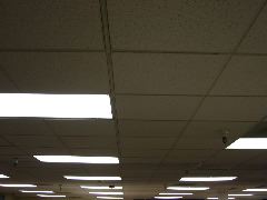 IMG_1055.JPG